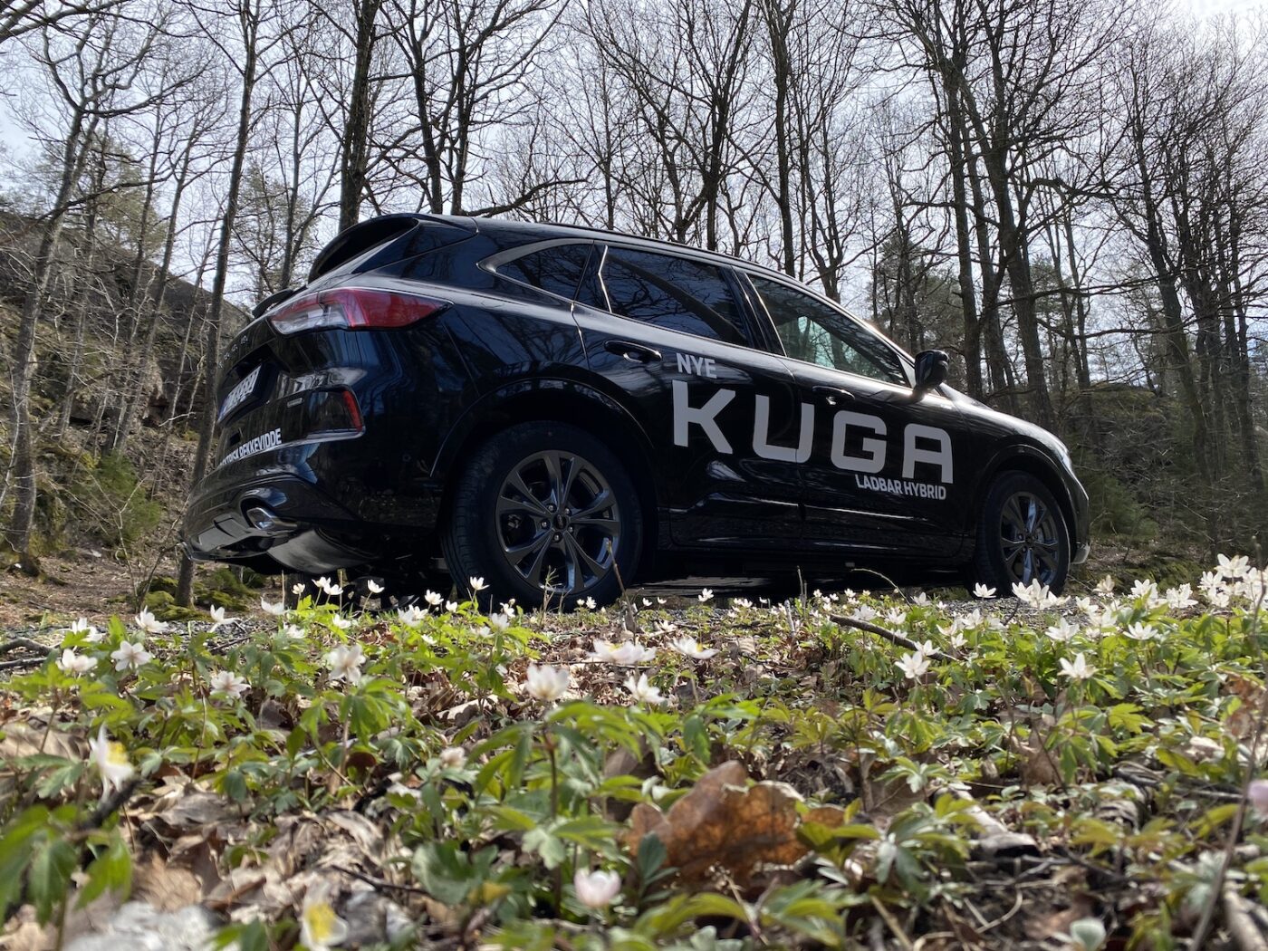 Norgespremiere for Ford Kuga – nå også som ladbar hybrid