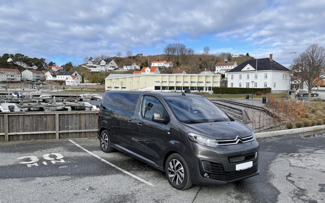 8 eller 9-seters elbil med mye plass!