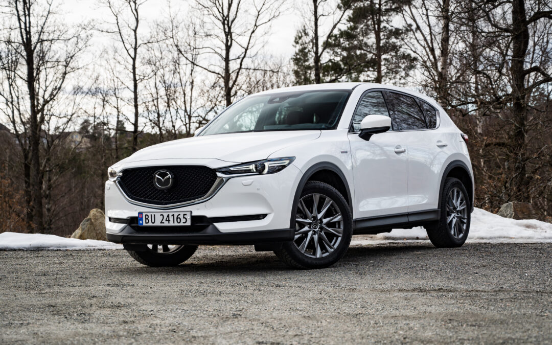 En av 25 som kom til Norge